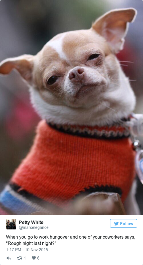 16 photos that perfectly sum up being hungover at work · The Daily Edge