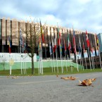 European Court of Justice