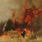A firefighter sets a backburn to fight the Wallow Fire in Nutrioso, Arizona, on 10 June, 2011. (AP Photo/Marcio Jose Sanchez)