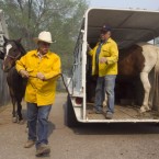 Robert Lock, left, and Fred Campbell load their horses from the home where they were staying in Luna, New Mexico as they evacuate from the Wallow Fire on 10 June, 2011. (AP Photo/ The Arizona Republic, David Wallace)