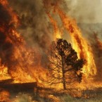 A massive wildfire in eastern Arizona that has claimed more than 30 homes and forced nearly than 10,000 people to evacuate is likely to spread into New Mexico soon. (AP Photo/Marcio Jose Sanchez)