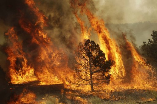 A massive wildfire in eastern Arizona that has claimed more than 30 homes and forced nearly than 10,000 people to evacuate is likely to spread into New Mexico soon. (AP Photo/Marcio Jose Sanchez)