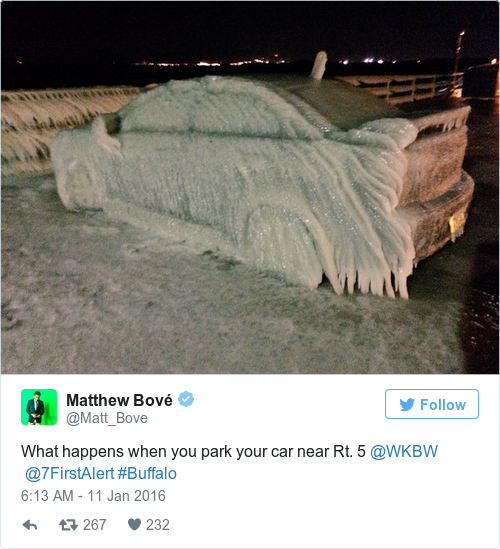 Tweet by @Matthew Bové
