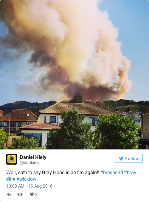 Tweet by @Daniel Kiely