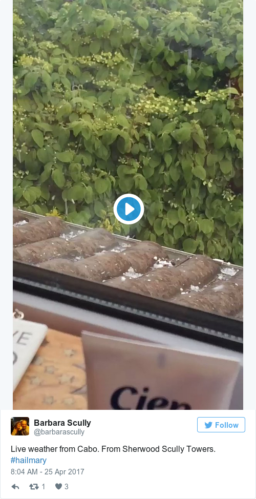 Tweet by @Barbara Scully