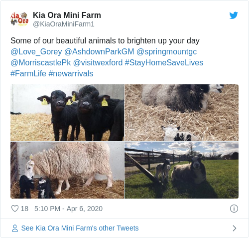 Tweet by @Kia Ora Mini Farm