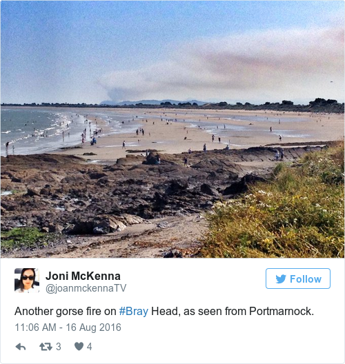 Tweet by @Joni McKenna